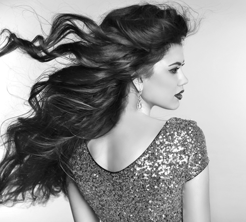 Model Search